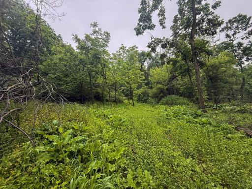 11719 Ridgeview Road, Hokah, MN 55941