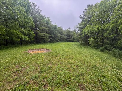 11719 Ridgeview Road, Hokah, MN 55941