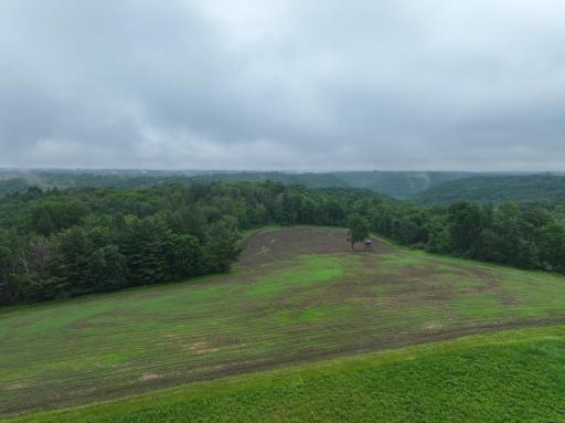 11719 Ridgeview Road, Hokah, MN 55941