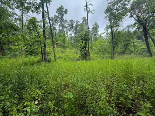 11719 Ridgeview Road, Hokah, MN 55941