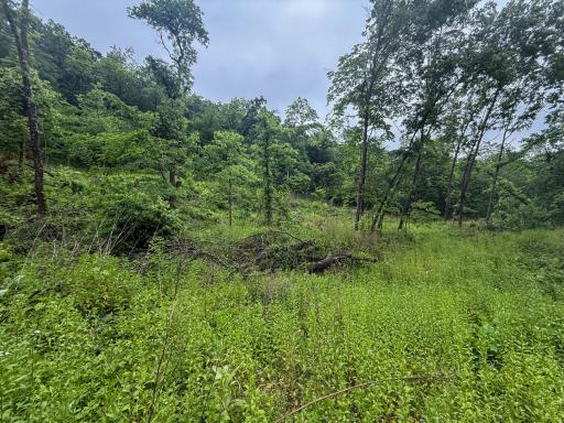 11719 Ridgeview Road, Hokah, MN 55941