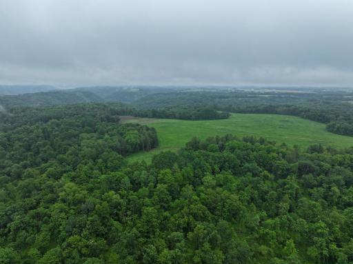 11719 Ridgeview Road, Hokah, MN 55941