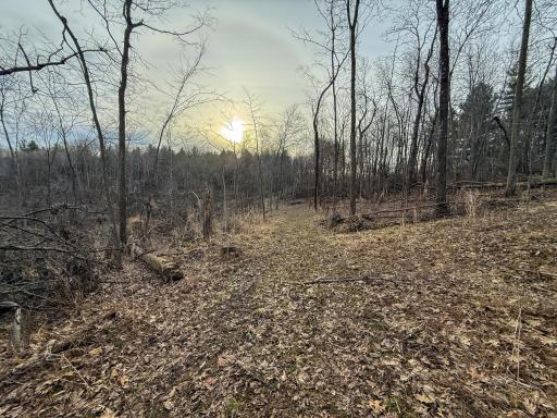 11719 Ridgeview Road, Hokah, MN 55941