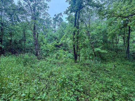 11719 Ridgeview Road, Hokah, MN 55941