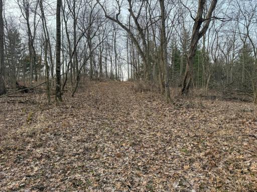 11719 Ridgeview Road, Hokah, MN 55941