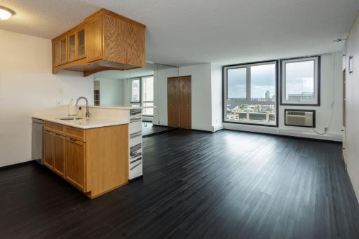 433 S 7th Street, 1822, Minneapolis, MN 55415
