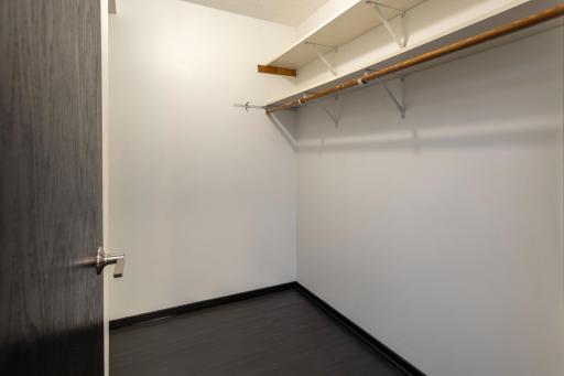 Large walk-in closet provides lots of storage