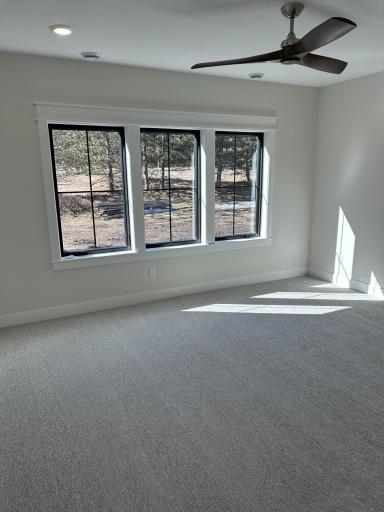 2428 Emerald Way NE, Carlos, MN 56319