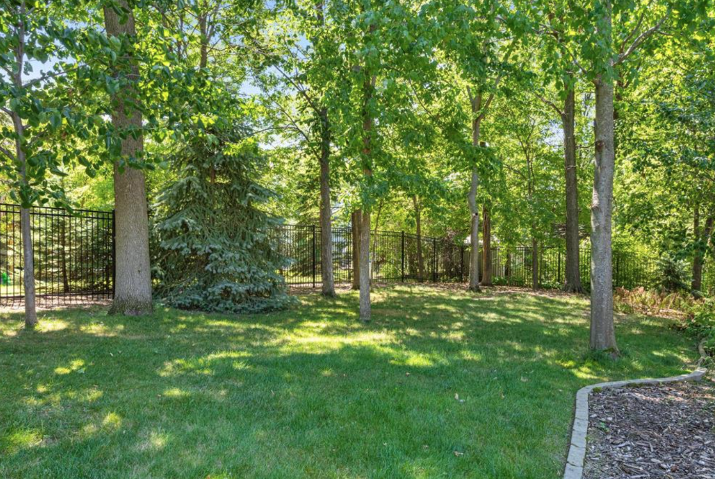 Fenced in backyard spring.