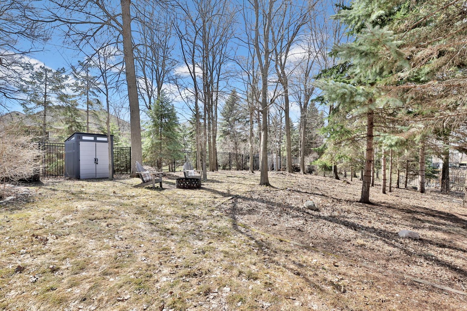 Lafayette back towards shed.jpg