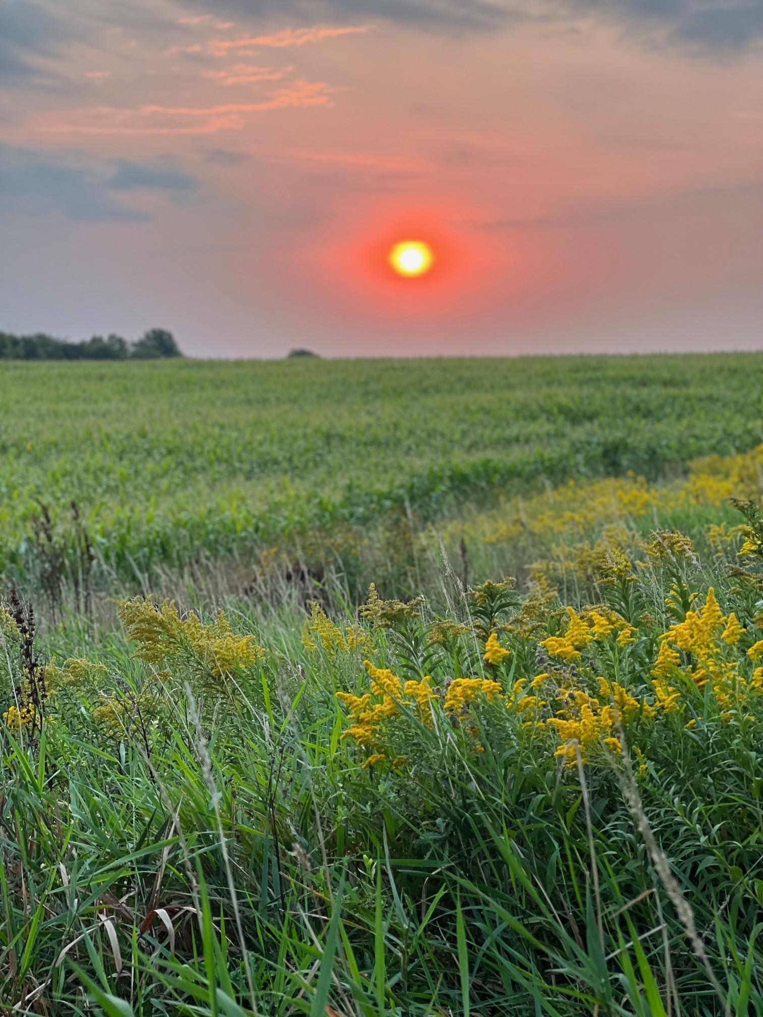Laingen Neighborhood Park.jpg