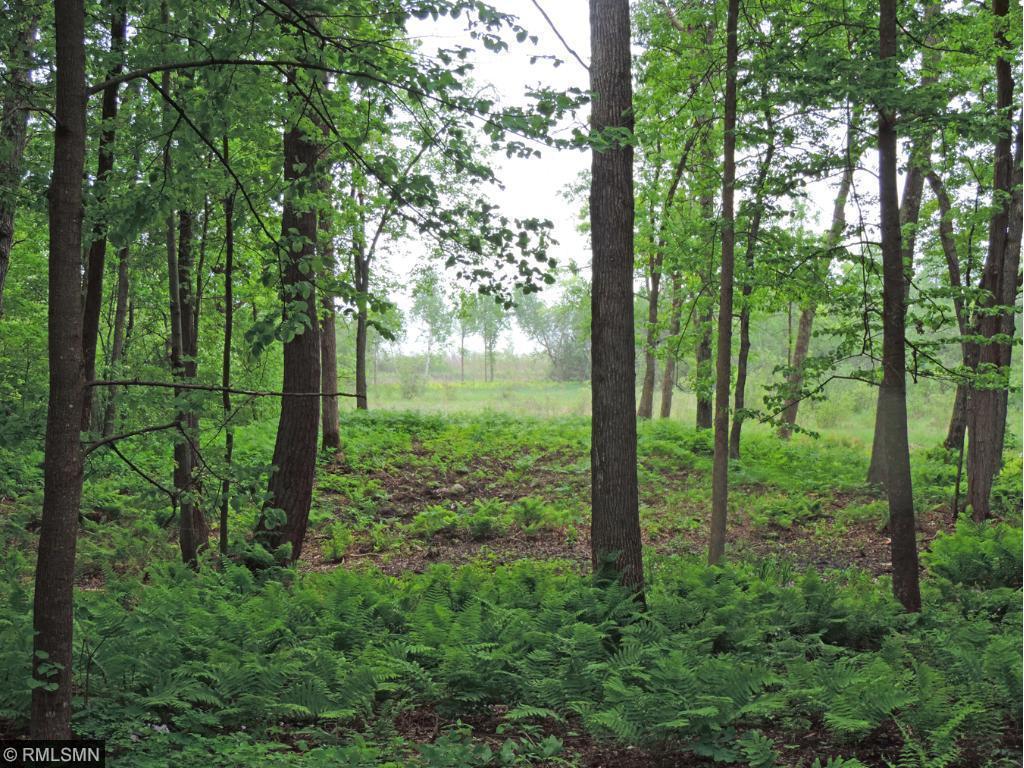Looking toward the Lake