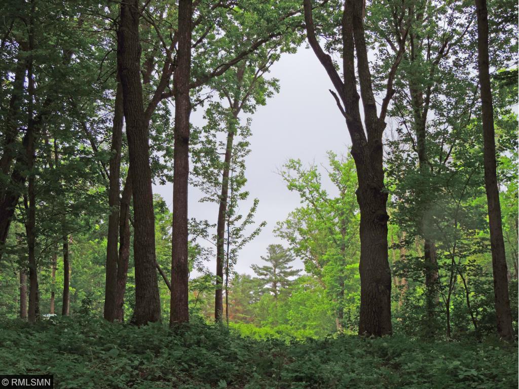 Looking NW toward Oak Point Road