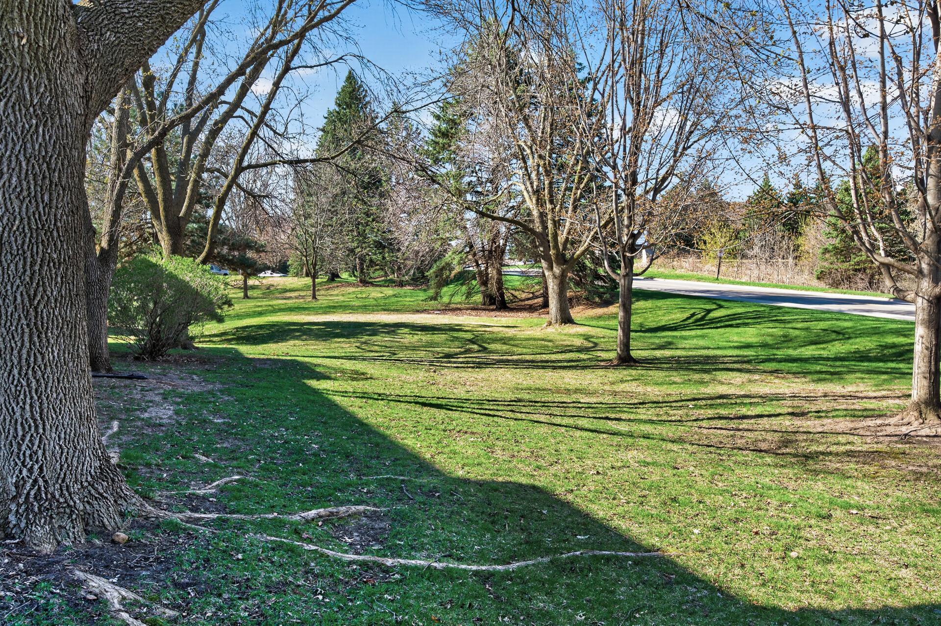 Lovely green space in back yard