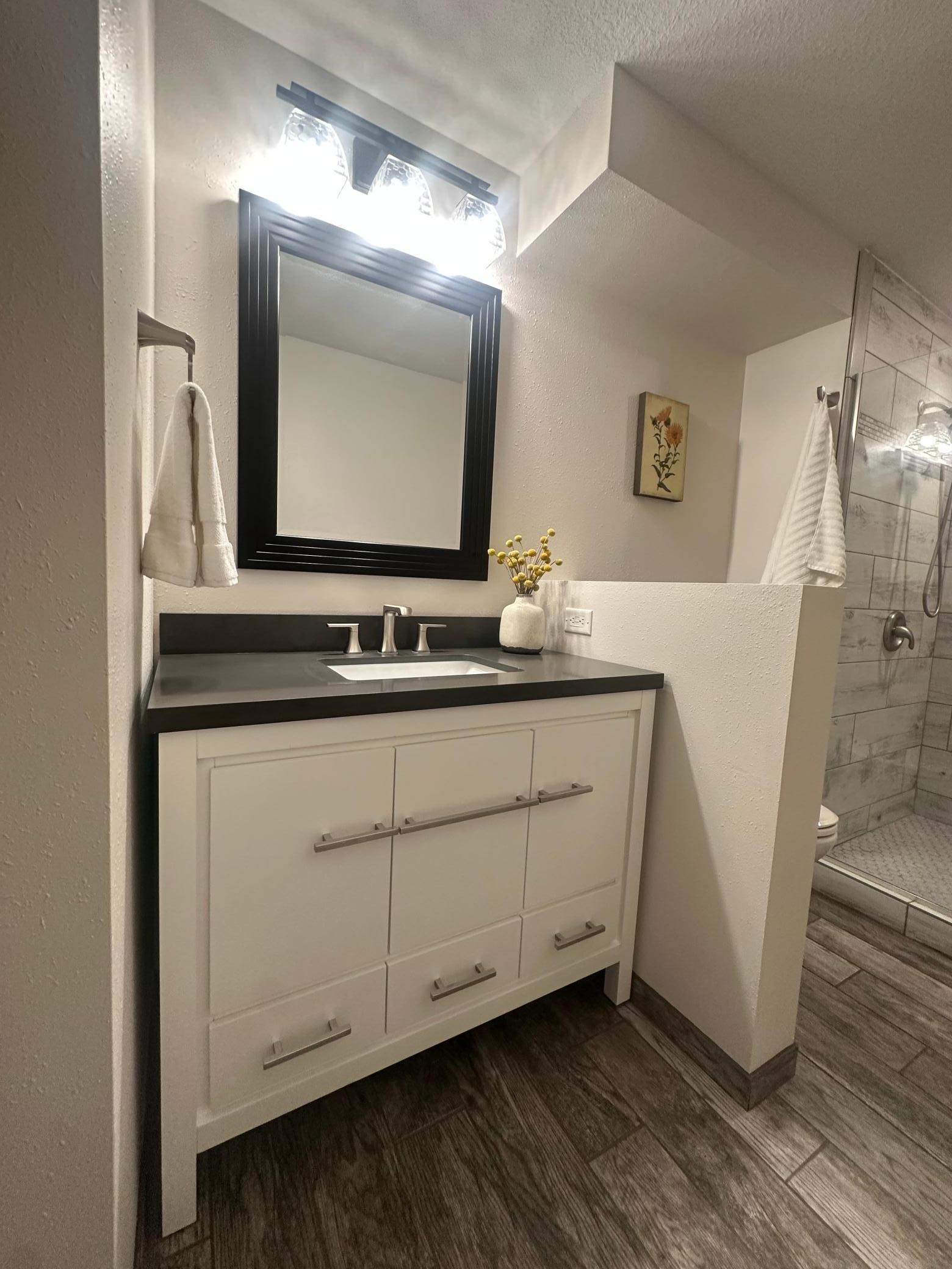 Lower Level 3/4 Bathroom