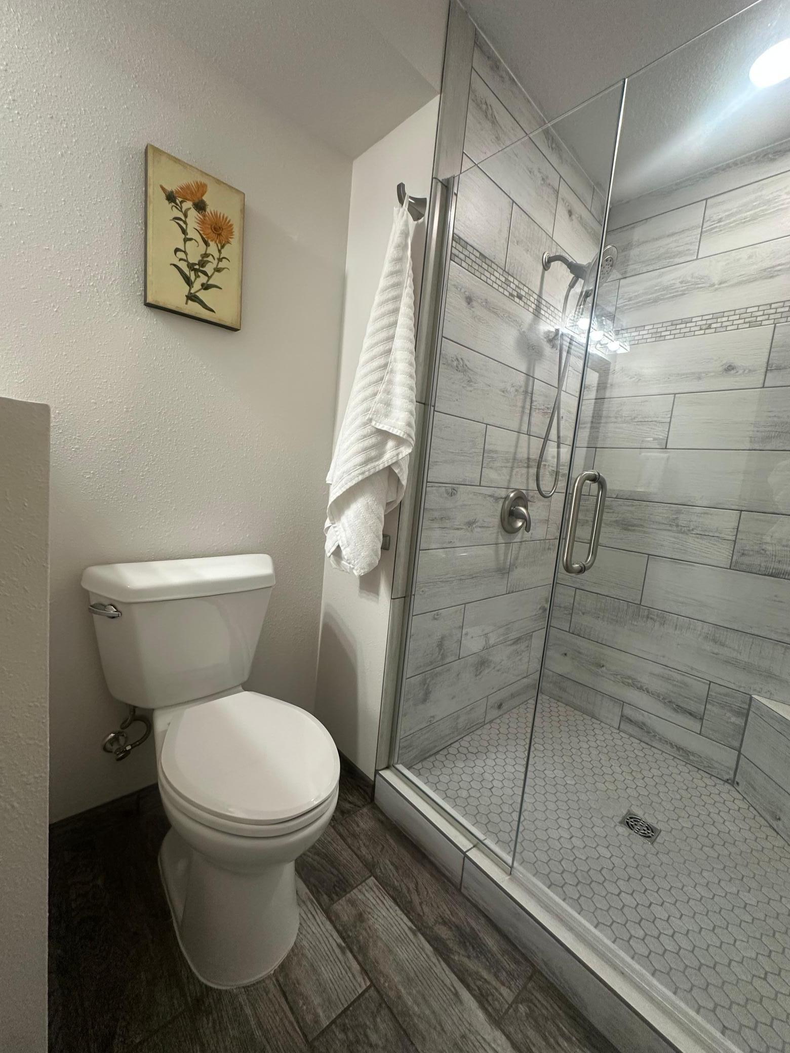 Lower Level 3/4 Bathroom