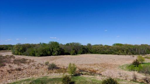 Wildlife, marsh area behind the house provides privacy, serenity and various wildlife activity year-round.