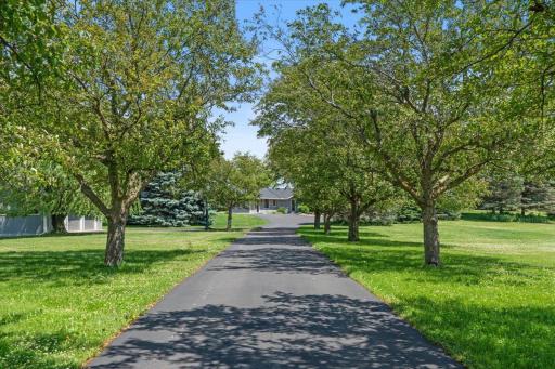 The driveway that sets the tone. Tree-lined, generous, and entirely yours â welcome to nearly 6 private acres in Minnetrista.