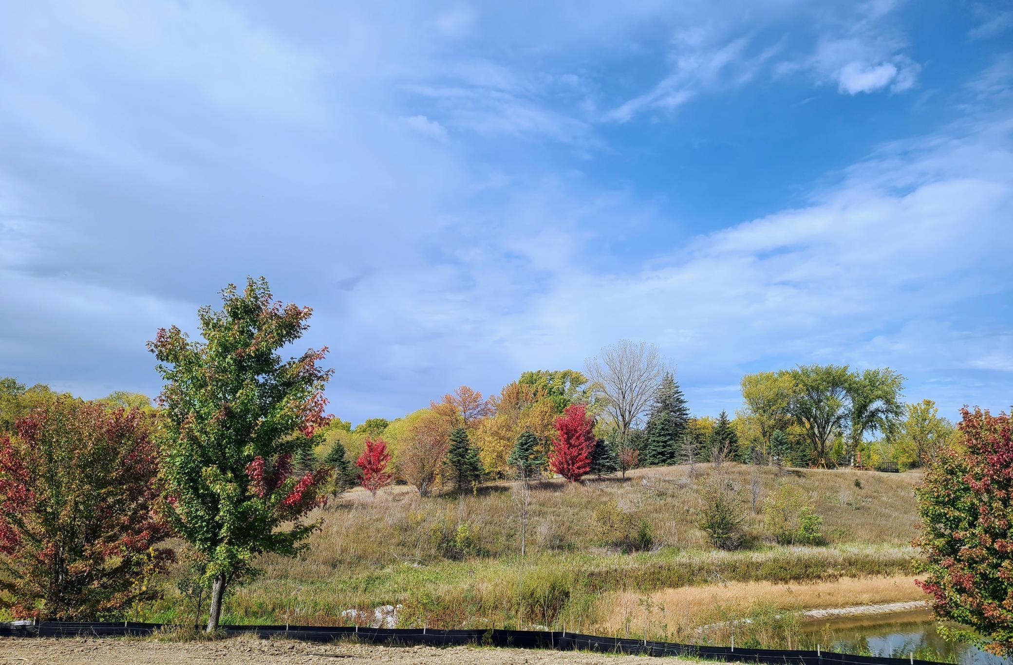 View of pond in fall