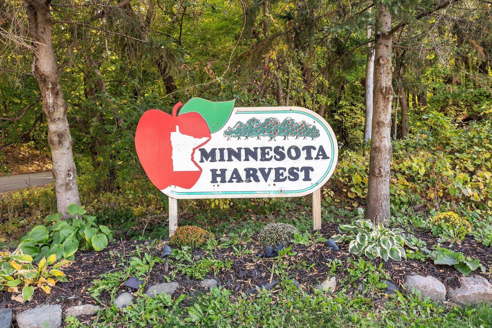 Pick your own apples at Minnesota Harvest Orchard in Jordan