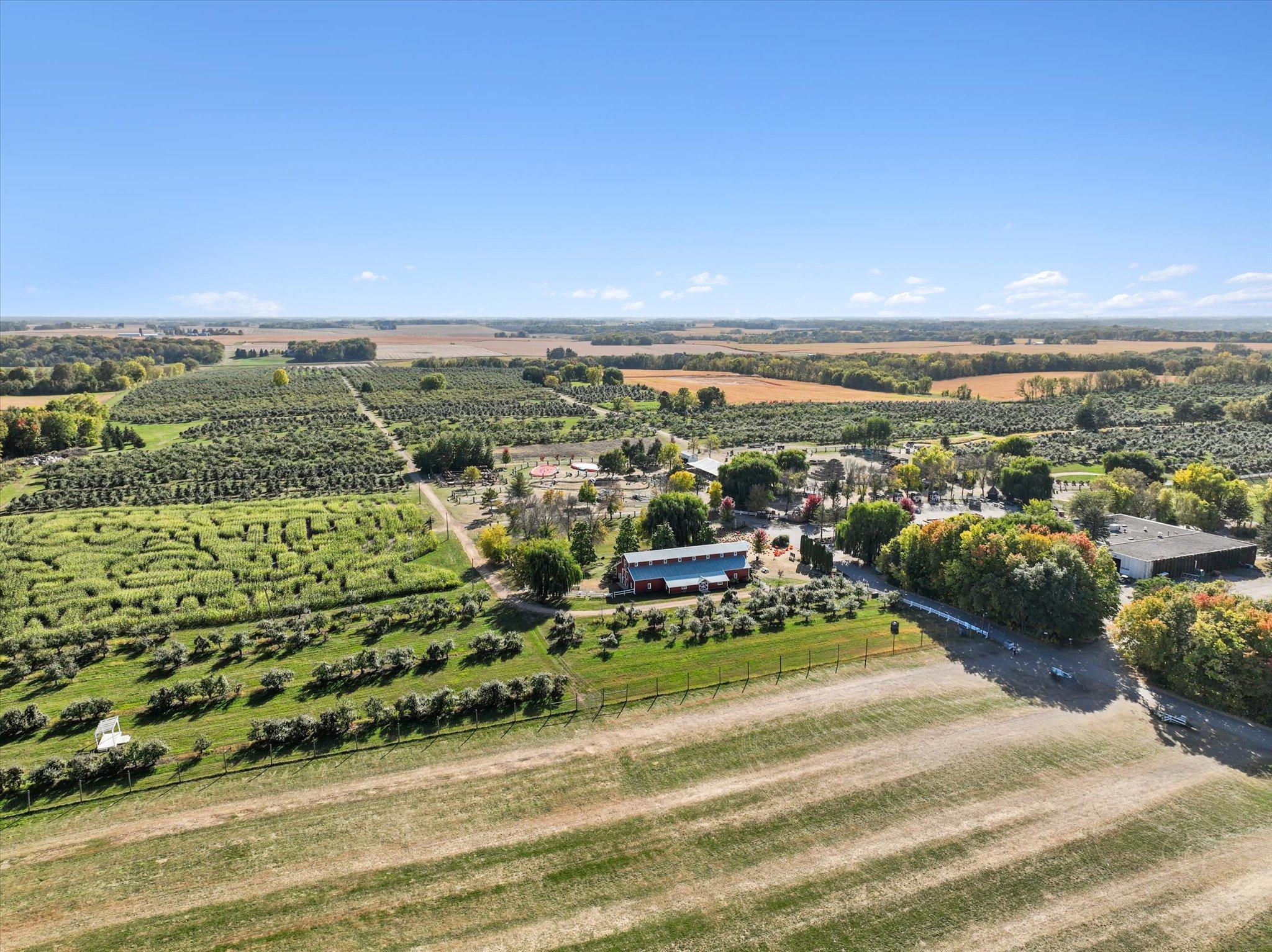Pick your own apples at Minnesota Harvest Orchard in Jordan
