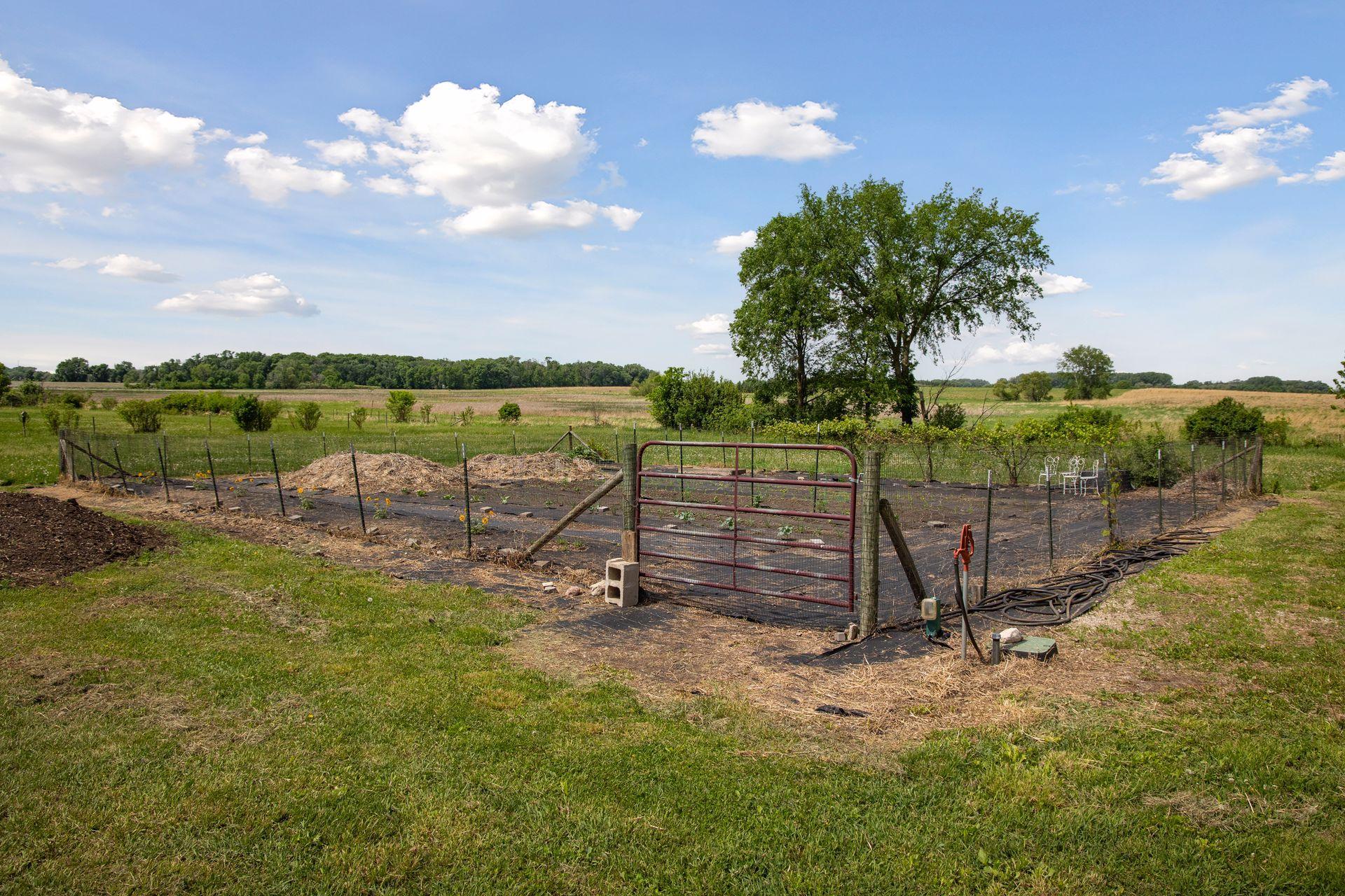 Organic Garden