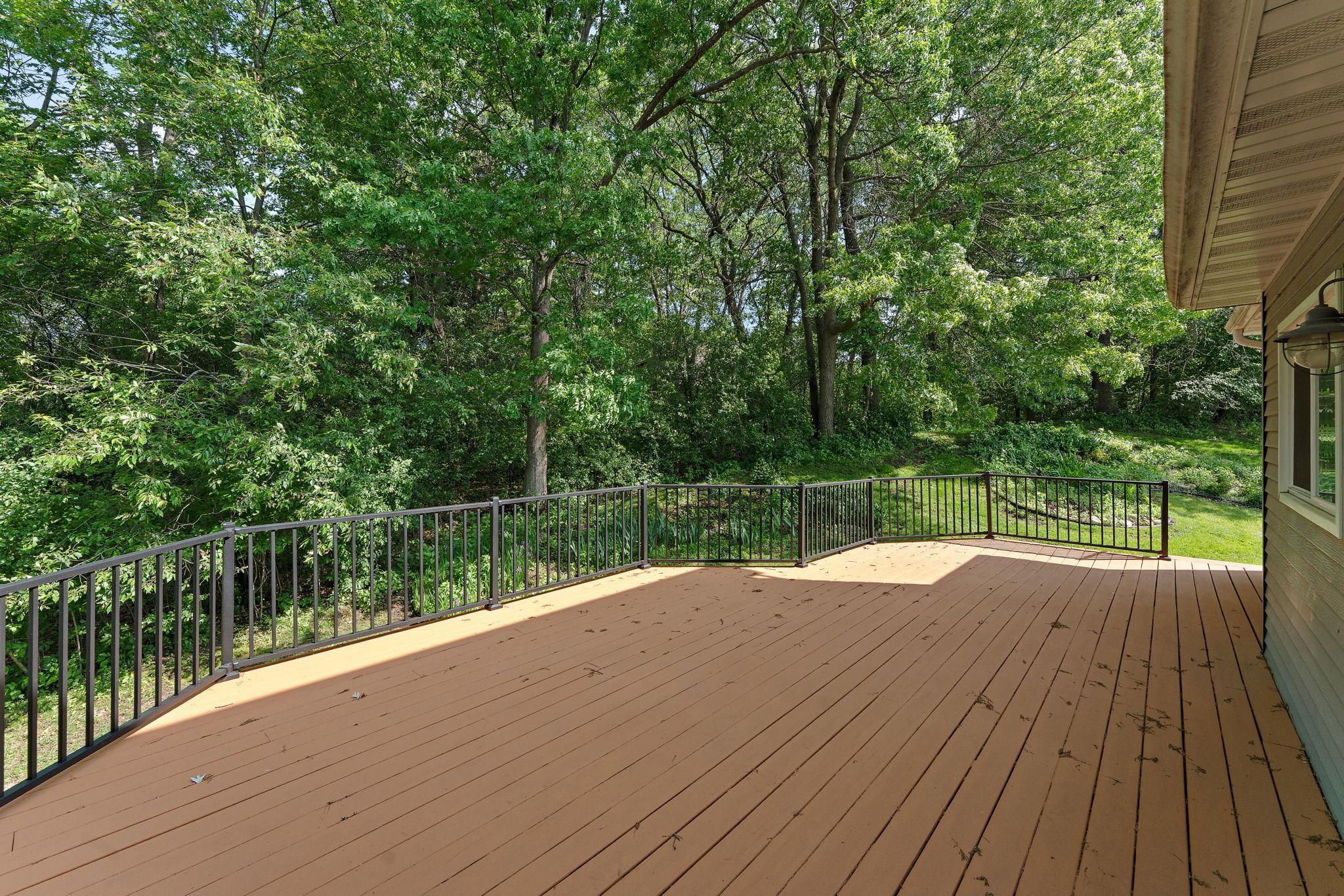 Private wooded backyard