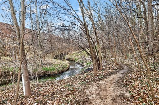 Walking path in your backyard next to nature