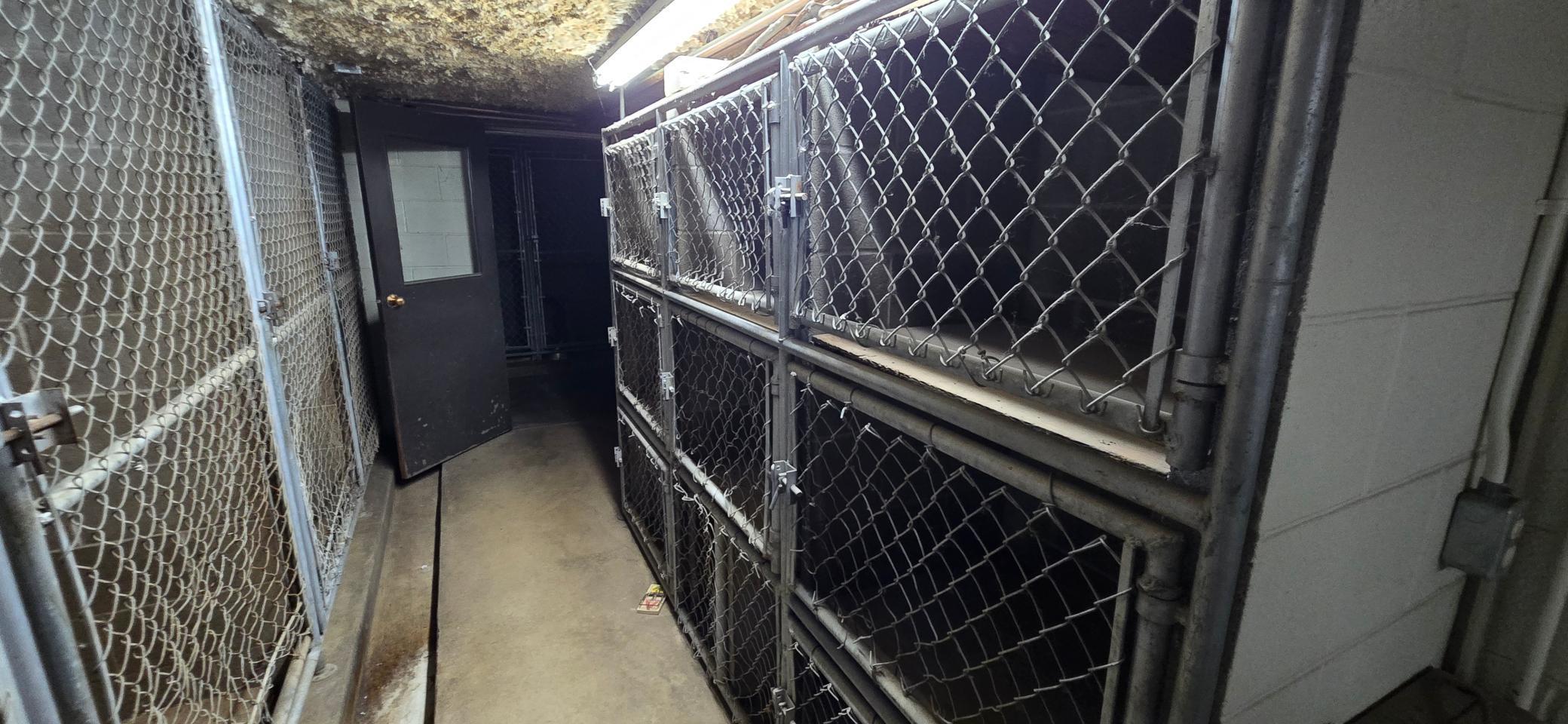 Kennels.b.jpg