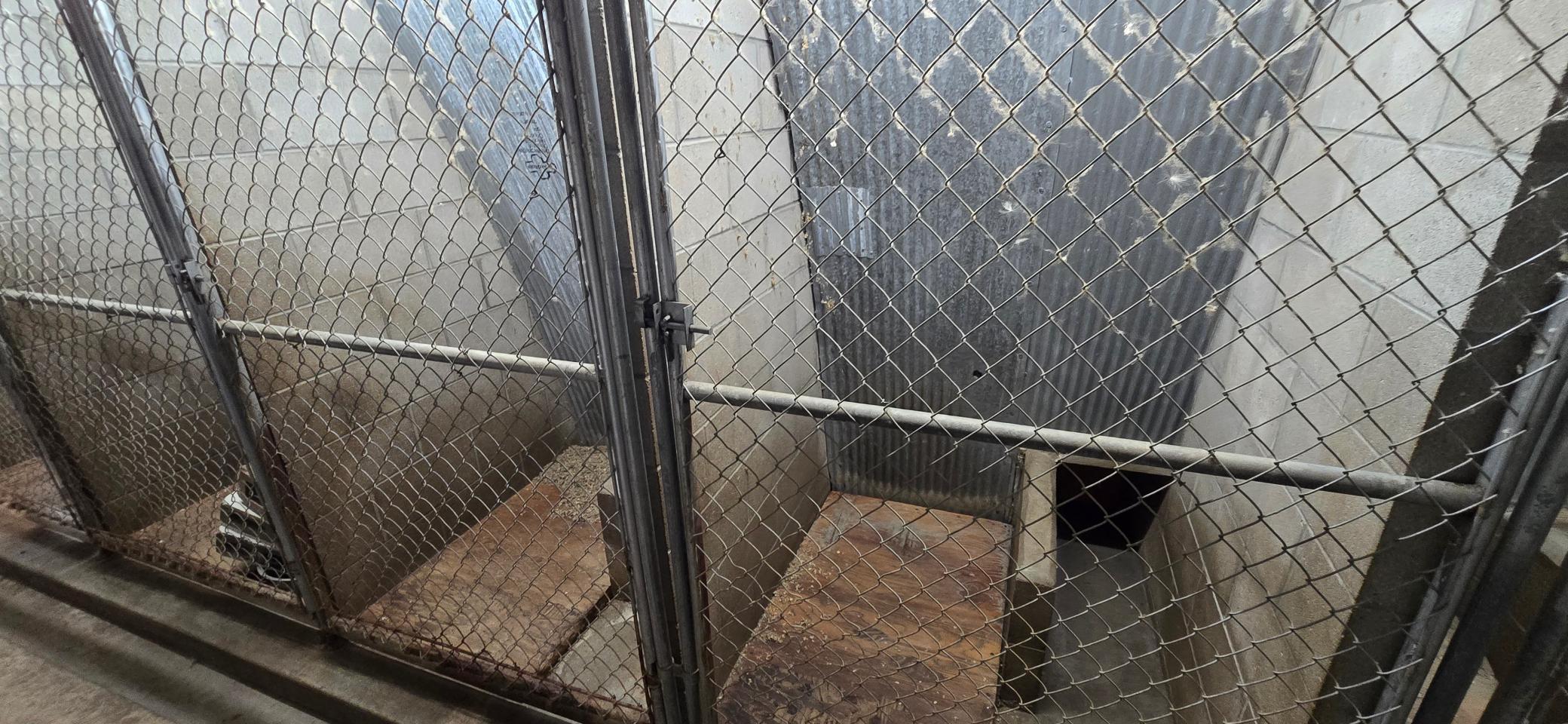 Kennels.a.jpg