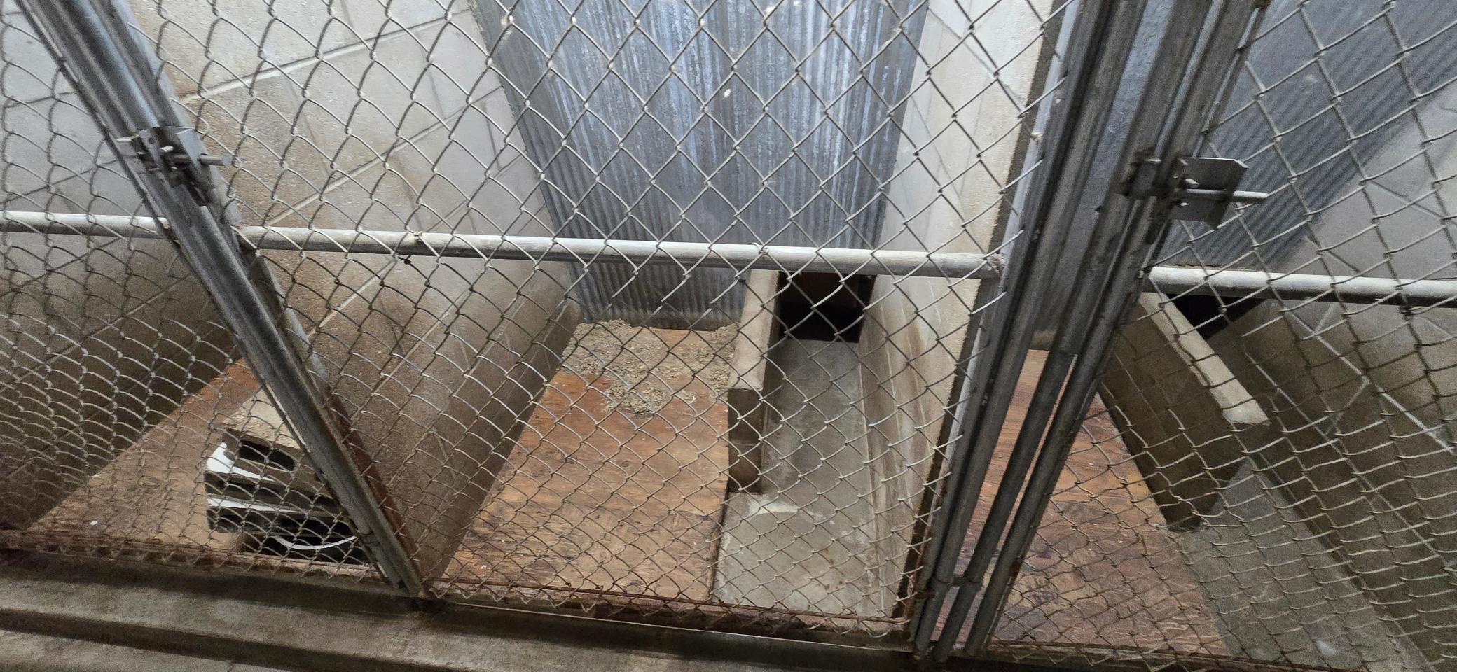 Kennels..jpg