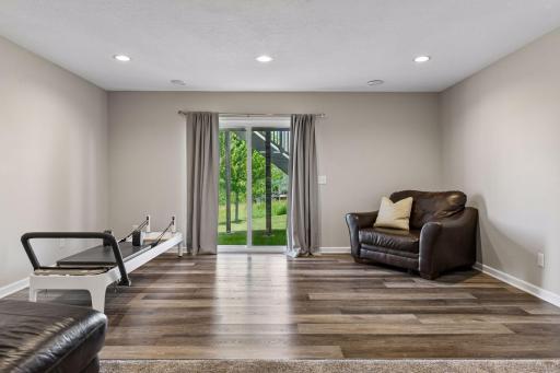 Walkout-level rec space with a door straight to the backyard