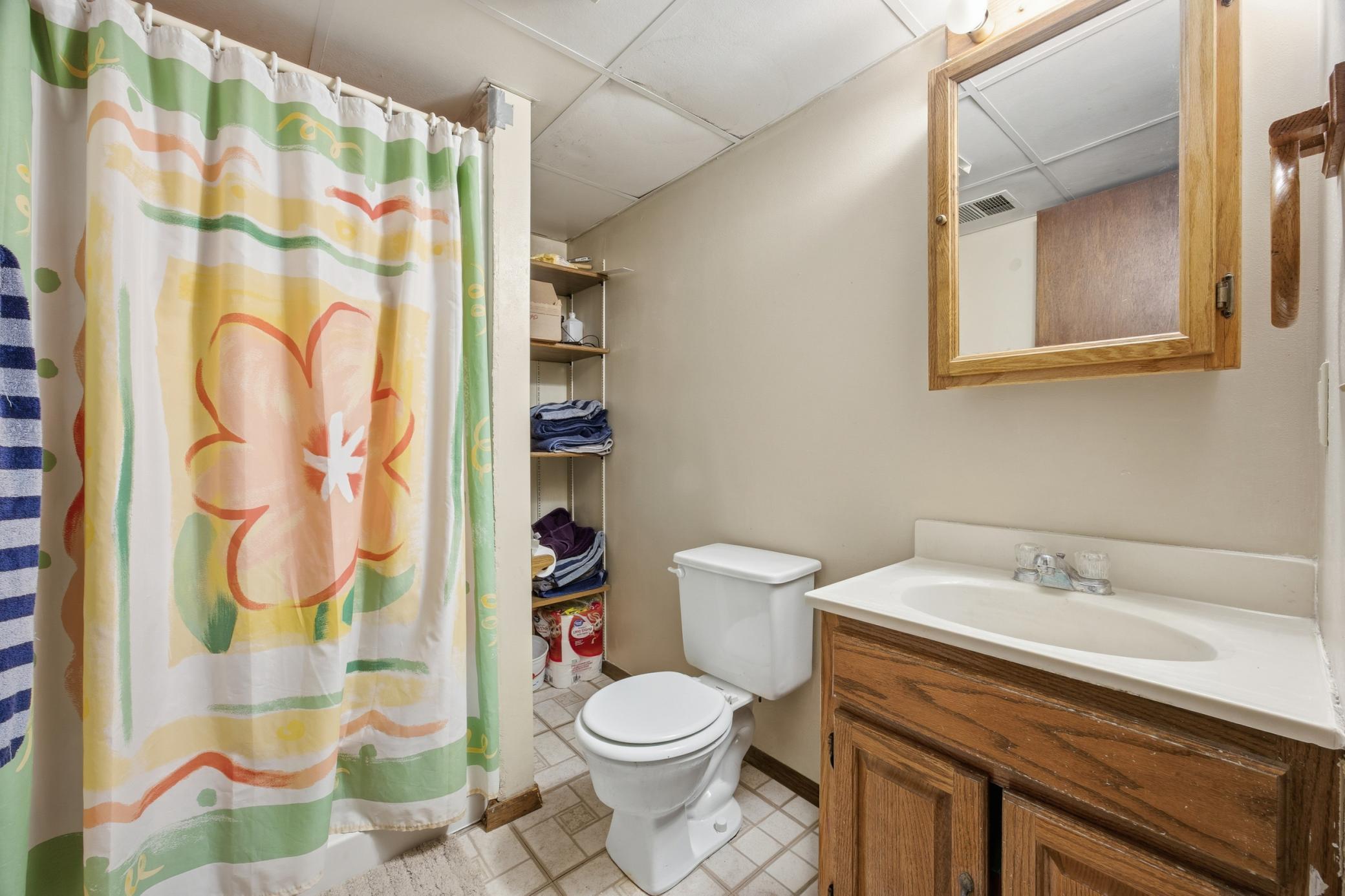 Basement Bathroom