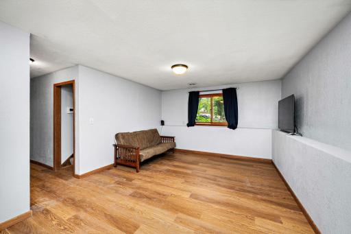 Lower level family room!