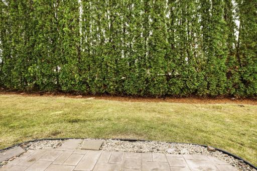 Enjoy The Greenery, Scenery This Photo Was Just Taken And Look At The Color! Backyard Guests Are Best!