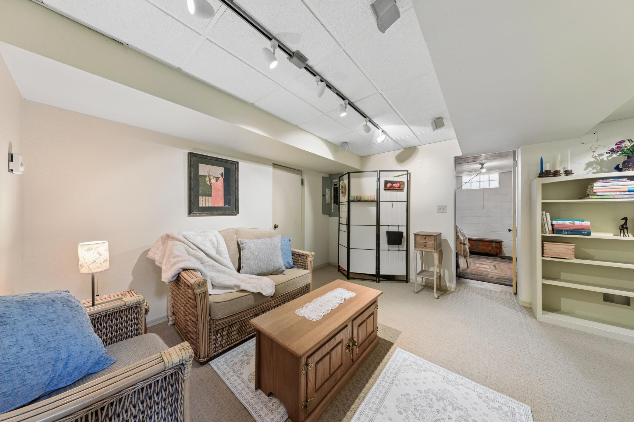 Lower level family room