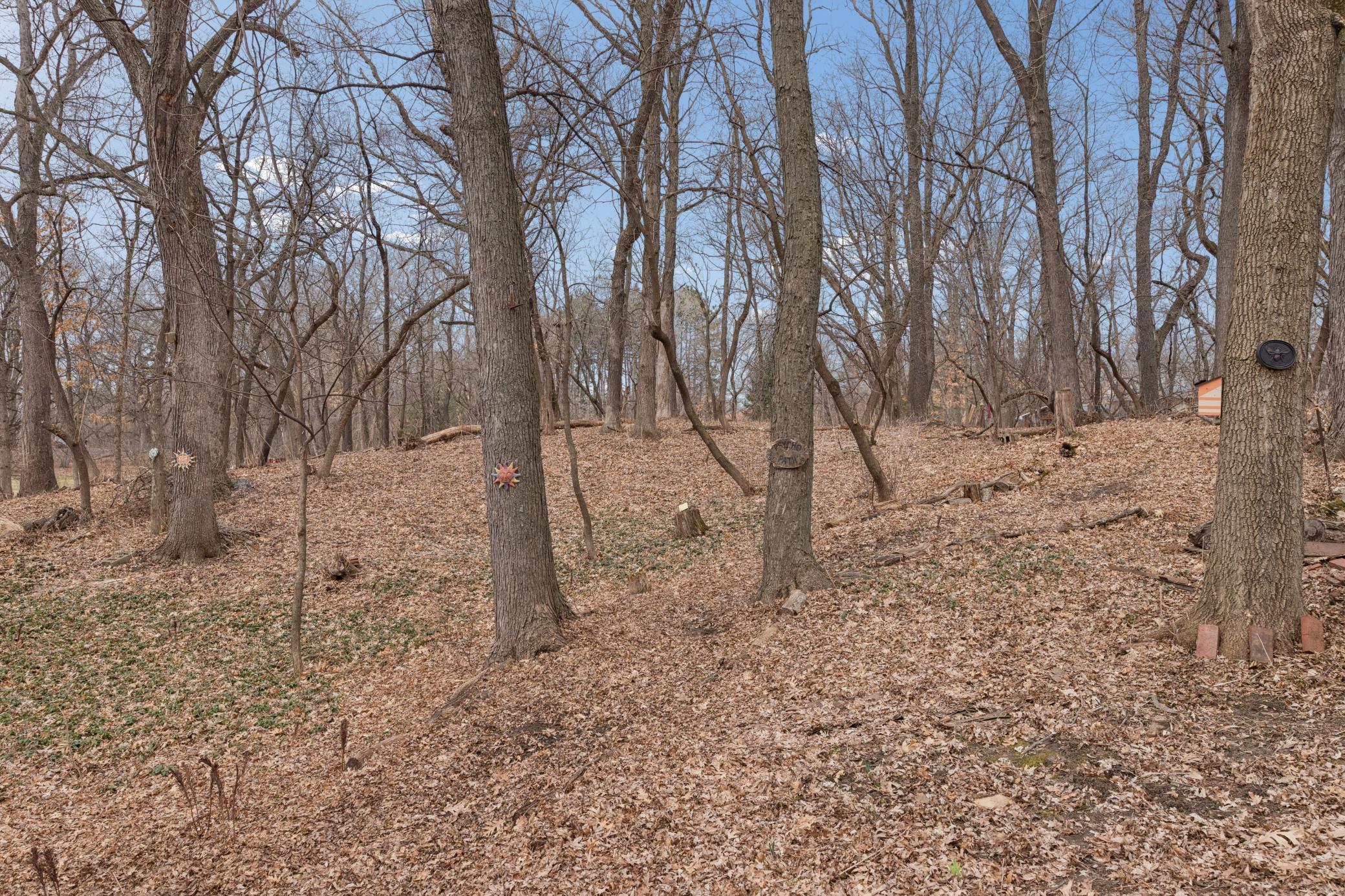 Your own private forest