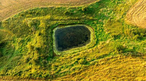 Copy of Winona MN 138 Featured_Pro Photo-74.jpeg