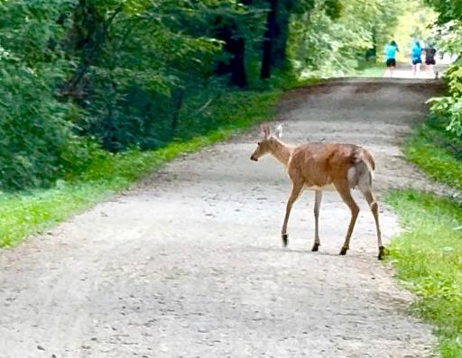 Less than a block from the Mtka Regional Trail