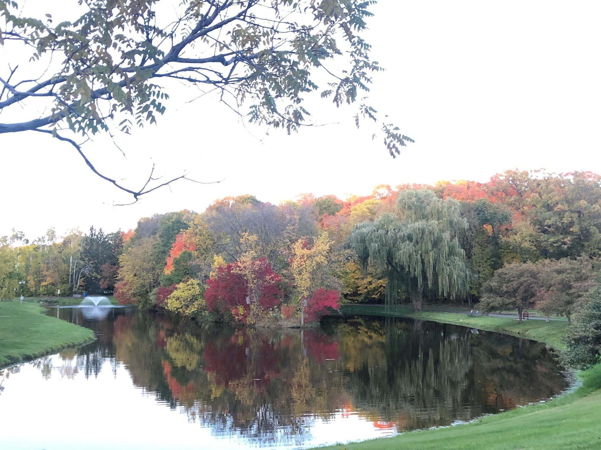 Thorpe Park 2 of 2.jpg