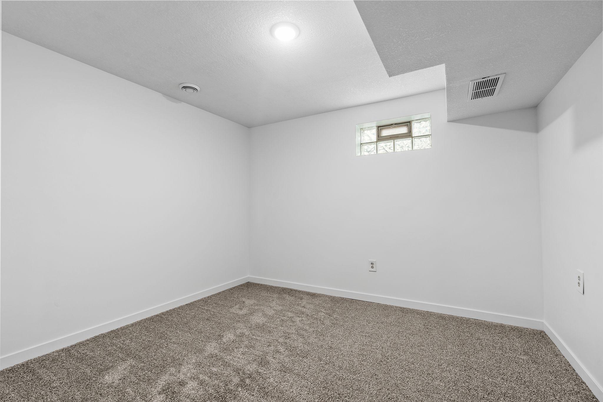 Lower Bonus Rm (4th Bdrm)