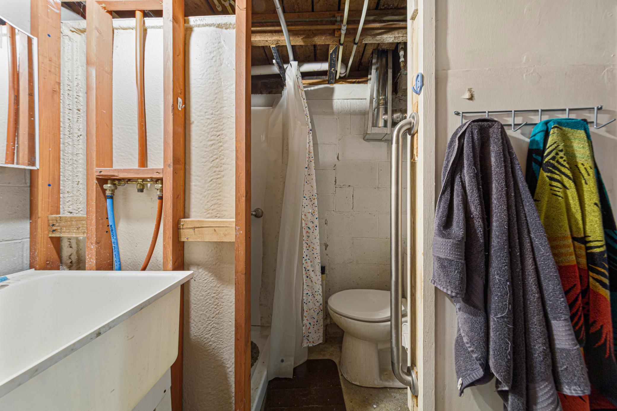 31 bathroom_lower.jpg