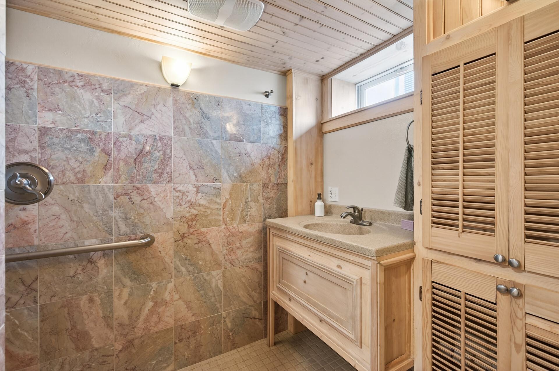 Lower level bathroom