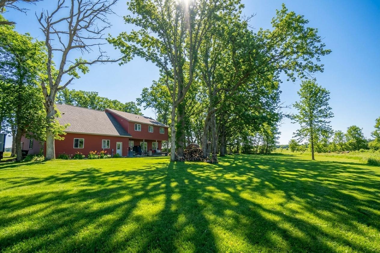 backyard2.jpg