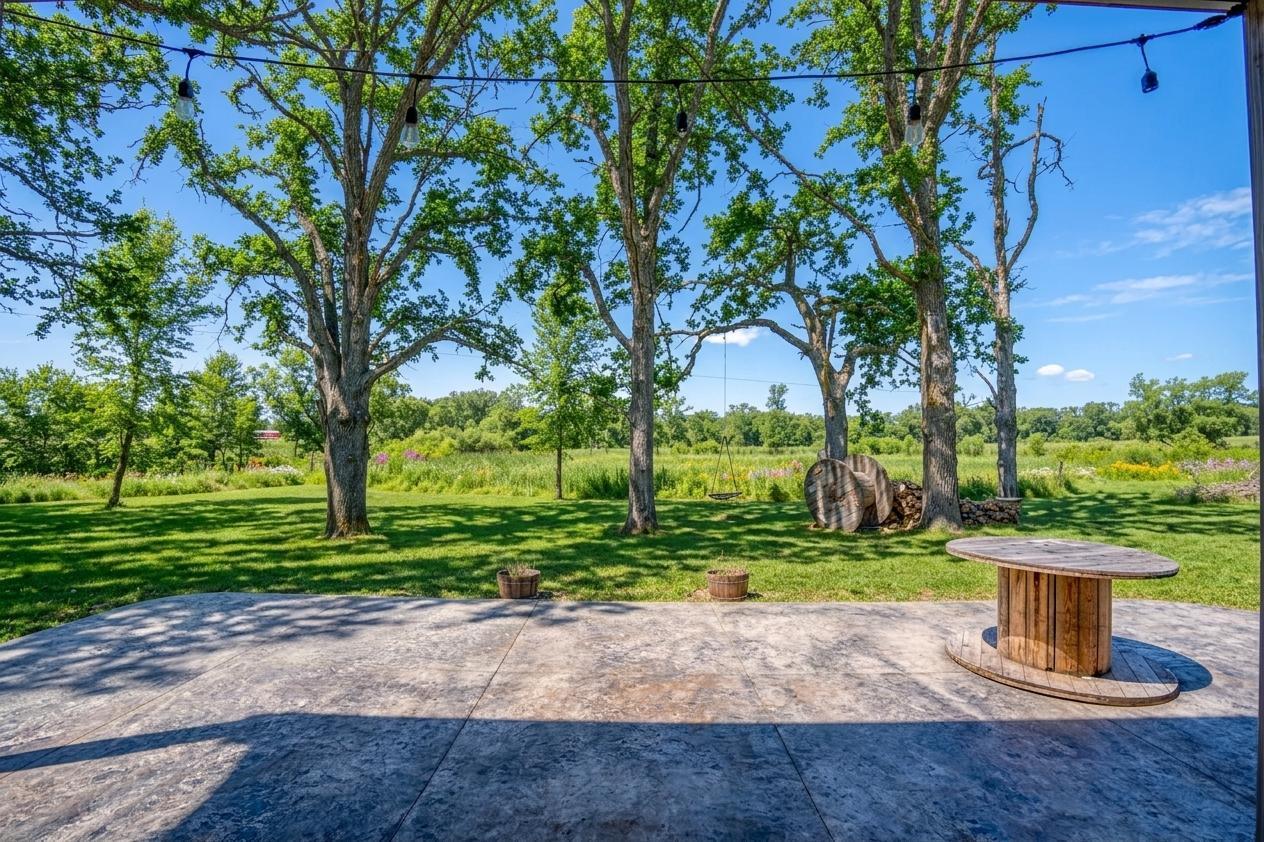 backyard4.jpg