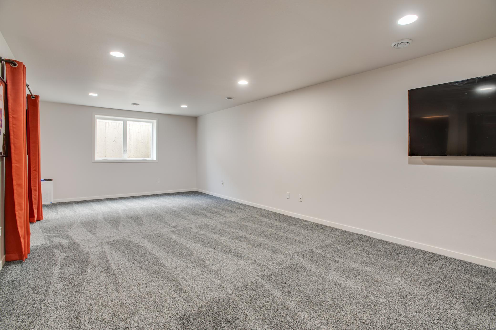 Basement Family Room