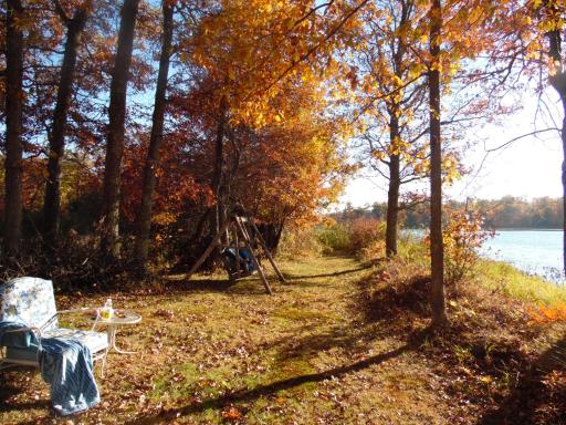 Trail
