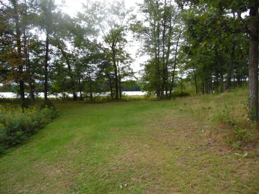 Cleared area for future cabin build