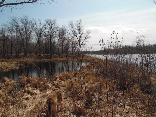 Lake/wetland