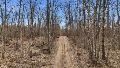 Road into property